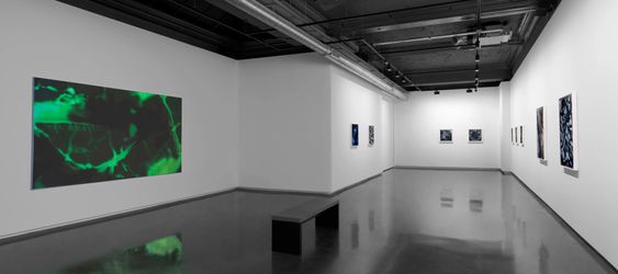 Exhibition view: Casey Reas, Wet and Saturated Process, Unit, London (24 April–25 May 2024). Courtesy Unit.