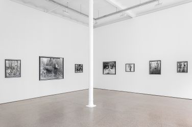 Exhibition view: Gerard Byrne, Jielemeguvvie guvvie sjisjnjeli – A film inside an image & some related works, Galerie Greta Meert, Brussels (8 November 2018–19 January 2019). Courtesy Galerie Greta Meert.