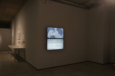 Exhibition view: Group exhibition, creN/Ature, TKG+ Projects, Taipei (7 August–18 September 2021). Courtesy TKG+ Projects.
