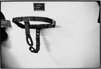 Chastity Belt by Zoe Leonard contemporary artwork sculpture, photography