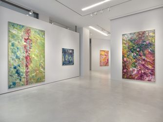 Exhibition view: Sassan Behnam-Bakhtiar, Extremis, SETAREH, Düsseldorf (18 October–23 November 2019). Courtesy SETAREH.