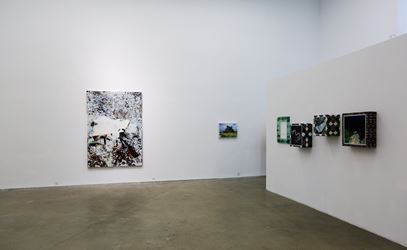 Exhibition view: Ma Wenting, To The Wild, A Thousand Plateaus Art Space, Chengdu (12 August–16 October 2018). Courtesy A Thousand Plateaus Art Space.