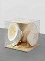 Plexiglas Box by Takesada Matsutani contemporary artwork 1