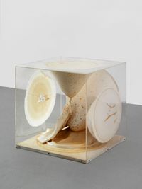 Plexiglas Box by Takesada Matsutani contemporary artwork mixed media