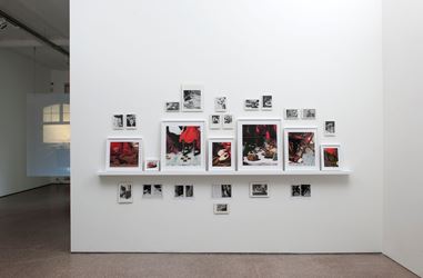 Exhibition view: Iñaki Bonillas,  (Détail), Galerie Greta Meert, Brussels (6 September–31 October 2013). Courtesy Galerie Greta Meert.