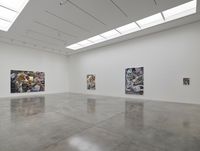 Danica Lundy Turns Inside Out at White Cube 2