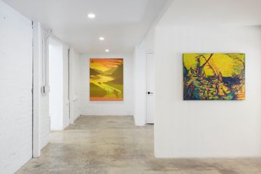 Exhibition view: Group Exhibition, If you forget my name, You will go astray, Anat Ebgi, Los Feliz (25 June–6 August 2022). Courtesy Anat Ebgi.