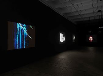Exhibition view, Ana Mendieta, 'Experimental and Interactive Filmas', 2016, Galerie Lelong, New York.
