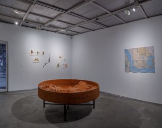 Exhibition view: Sahil Naik, All is water, and to water we must return, Experimenter, Ballygunge Place (21 April–30 June 2021). Courtesy Experimenter.