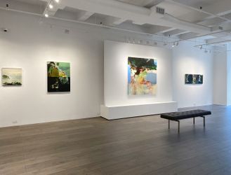 Exhibition view: Hollis Heichemer, Entanglement, Hollis Taggart, New York (10 September–9 October 2021). Courtesy Hollis Taggart.