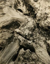 Driftwood by Paul Strand contemporary artwork photography