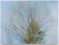 Winter Maple and Pine by Sylvia Plimack Mangold contemporary artwork painting, works on paper
