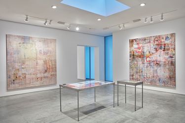 Exhibition view: Mandy El-Sayegh, MUTATIONS IN BLUE, WHITE AND RED, Lehmann Maupin, 536 West 22nd Street, New York (8 November–22 December 2018). Courtesy the artist and Lehmann Maupin, New York, Hong Kong, and Seoul. Photo: Matthew Herrmann.