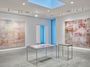 Contemporary art exhibition, Mandy El-Sayegh, MUTATIONS IN BLUE, WHITE AND RED at Lehmann Maupin, 536 West 22nd Street, New York, USA