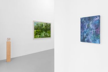Exhibition view: Cole Sternberg, a forest of thoughts in quick succession, Praz-Delavallade, Los Angeles (21 October–2 December 2023). Courtesy Praz-Delavallade.