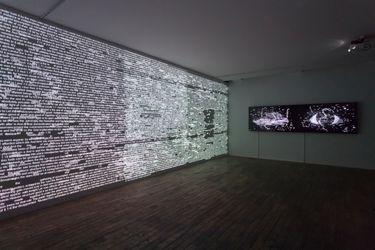Charles Sandison, Arcadia (2021). Multi-channel data projection installation, computers, C++ code. Duration infinite. Courtesy HdM Gallery, Beijing.