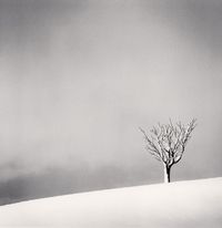 Snowfall Numakawa, Hokkaido, Japan by Michael Kenna contemporary artwork photography