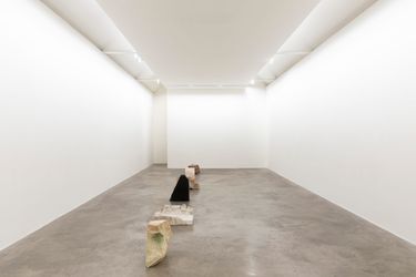 Exhibition view: Dorothy Cross, Veins of Other, Kerlin Gallery, Dublin (24 May–6 July 2024). Courtesy Kerlin Gallery.