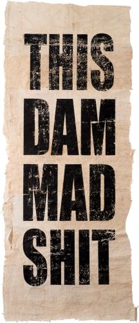 Untitled (THIS/DAM/MAD/SHIT) by Newell Harry contemporary artwork print