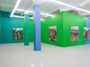 Contemporary art exhibition, Guido Maestri, Wollemia at Ames Yavuz, Singapore