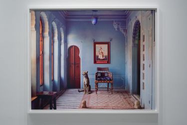Karen Knorr, Transmigrations, Sundaram Tagore Gallery, Chelsea, New York (5 May–4 June 2022). Courtesy Sundaram Tagore Gallery.