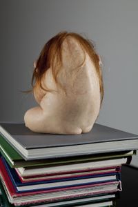 The Student (detail) by Patricia Piccinini contemporary artwork sculpture
