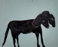 Black dog #3 by Sally Bourke contemporary artwork painting, works on paper