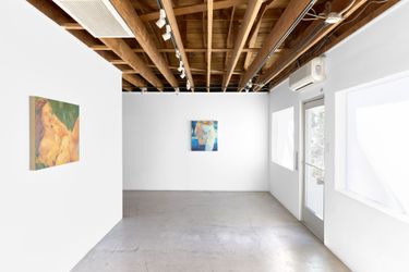 Exhibition view: Corri-Lynn Tetz, Quiet Time, Anat Ebgi, Culver City, Los Angeles (14 October–18 November 2023). Courtesy Anat Ebgi.