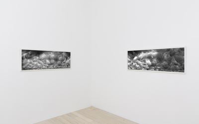 David Lawrey and Jaki Middleton, Open Sky, 2016, Exhibition view, Gallery 9, Sydney. Courtesy Gallery 9, Sydney. 