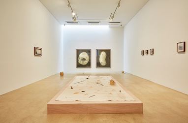 Exhibition view: Kang Seung Lee, Garden, One and J. Gallery, Seoul (22 November–22 December 2018). Courtesy One and J. Gallery.