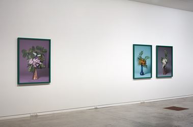 Exhibition view: Ann Shelton, the missionaries, Two Rooms (2 June–30 June 2018). Courtesy Two Rooms.
