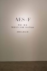Exhibition view: AES+F, What Came to Pass, Tang Contemporary, Beijing (20 May–30 June 2020). Courtesy Tang Contemporary. 