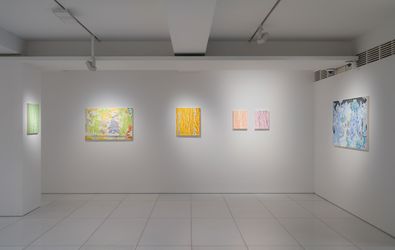 Exhibition view: Cha Hyeongwook, Low Glide, ARARIO GALLERY, Seoul (1 May–22 June 2024). Courtesy ARARIO GALLERY.
