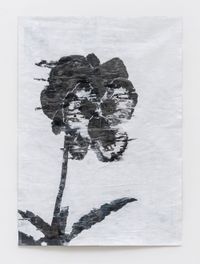 Skullflower by Gabriel Vormstein contemporary artwork painting, works on paper, drawing