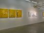 Contemporary art exhibition, Yang Mian, Yang Mian at A Thousand Plateaus Art Space, Chengdu, China
