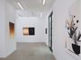 Contemporary art exhibition, Martin Basher, Birds of Paradise at AE2, AE2, Los Angeles, United States