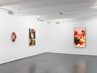 Exhibition view: André Hemer, Troposhere, Hollis Taggart, New York (11 May–24 June 2023). Courtesy of Hollis Taggart.