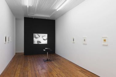 Exhibition view: Paolo Gioli, Amanda Wilkinson Gallery, London (22 February–6 April 2024). Courtesy Amanda Wilkinson Gallery.