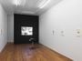Contemporary art exhibition, Paolo Gioli, The Art of Blinking at Amanda Wilkinson Gallery, London, United Kingdom