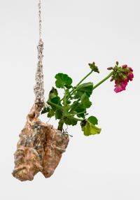 Bud Vase (Mountain Slide Hanger) by Christian Holstad contemporary artwork sculpture, ceramics