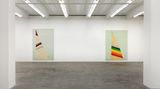 Contemporary art exhibition, Fredrik Vaerslev, Merman at Andrew Kreps Gallery, 537 West 22nd Street, USA