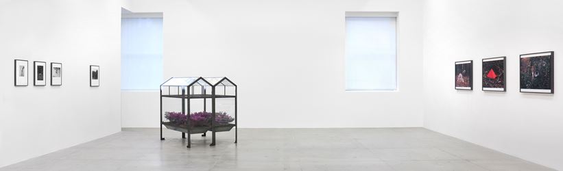 Exhibition view: Lothar Baumgarten, The Early Years, Marian Goodman Gallery, New York (9 January–5 February 2020). Courtesy Marian Goodman Gallery.