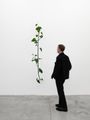 Philodendron Hederaceum (30% chance of rain) by Tania Pérez Córdova contemporary artwork 3