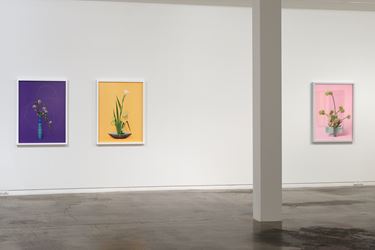 Exhibition view: Cracker, Two Rooms, Auckland (27 November 2020–30 January 2021). Courtesy Two Rooms.