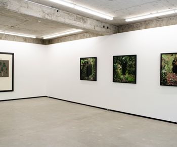 Jhana Millers contemporary art gallery in Wellington, New Zealand
