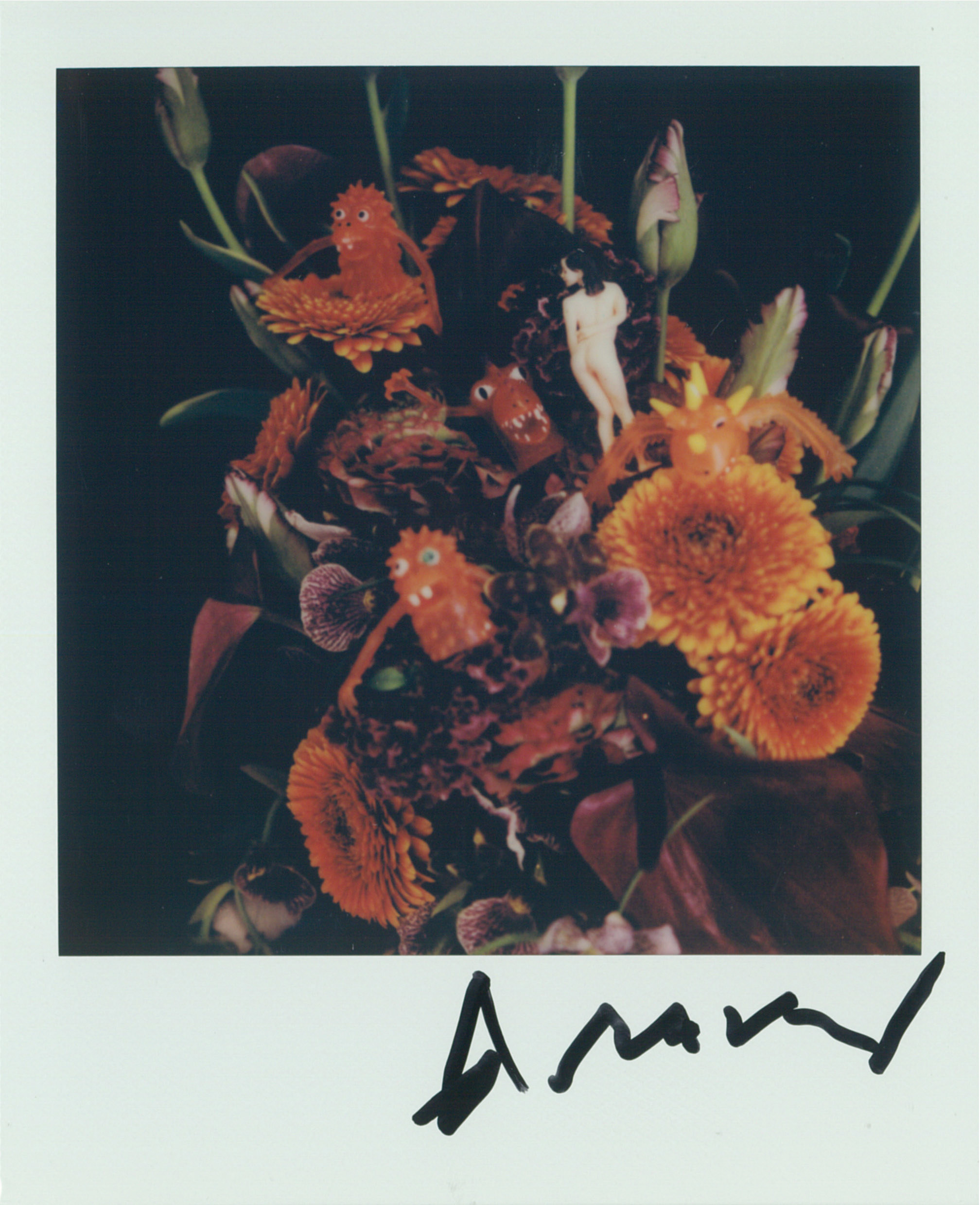 Untitled, 2024 by Nobuyoshi Araki, Polaroid, 10.8 x 8.8 cm (4) | Ocula