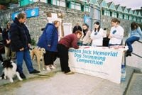 Swansea Jack memorial Dog Swimming Competition by Shimabuku contemporary artwork sculpture, moving image