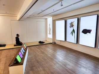 Exhibition view:  Hung Keung, Digital Media Art Installation, Alisan Fine Arts, Aberdeen (4 November–30 December 2023). Courtesy Alisan Fine Arts.