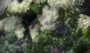 Digital Artist Quayola Reprises Monet at Frieze London