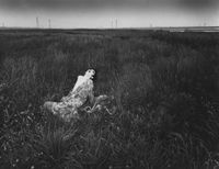 Simon: A Private Landscape by Eikoh Hosoe contemporary artwork photography